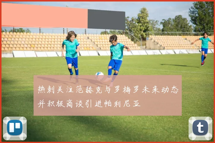 热刺关注范赫克与罗梅罗未来动态并积极商谈引进帕利尼亚